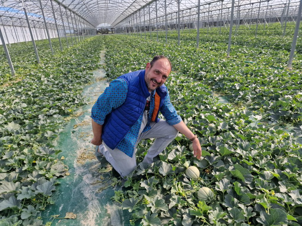 Photo d'un partenaire cultivateur de Prim'Soleil prenant la pose dans son champs de Melon sous serre.