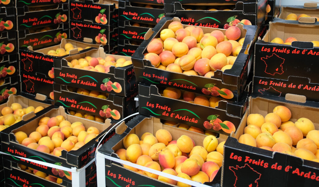 Photo de plein de cagettes en carton remplies d'abricots