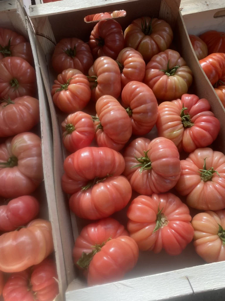 Photo de Tomates anciennes dans des cagettes en bois.