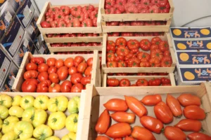 Photo de plusieurs cagettes en bois de diverses variétés de Tomates